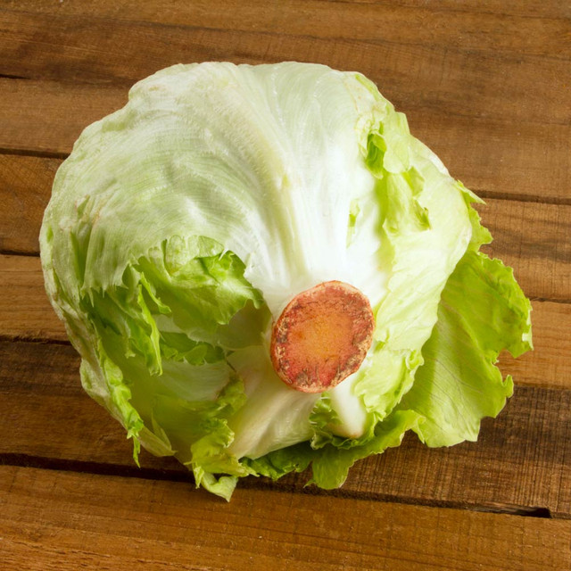 Lechuga Romana - (pz)
